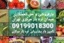 بارفروشان بزرگ و حق العملکاری در میدان تره بار مرکزی تهران 