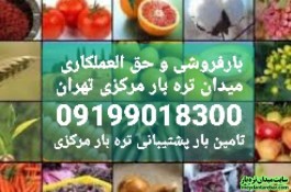 بارفروشان بزرگ و حق العملکاری در میدان تره بار مرکزی تهران 